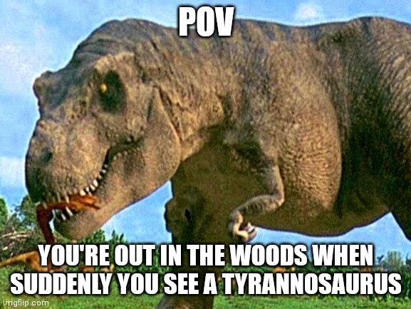 No OP OCs or roleplay ends and no weaponized OCs either or same punishment | POV; YOU'RE OUT IN THE WOODS WHEN SUDDENLY YOU SEE A TYRANNOSAURUS | made w/ Imgflip meme maker