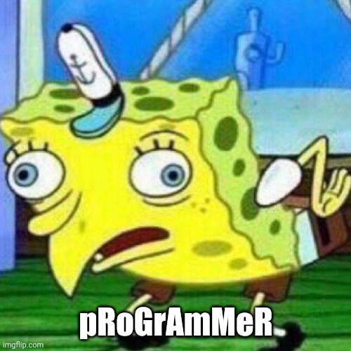 Programmer | pRoGrAmMeR | image tagged in triggerpaul | made w/ Imgflip meme maker