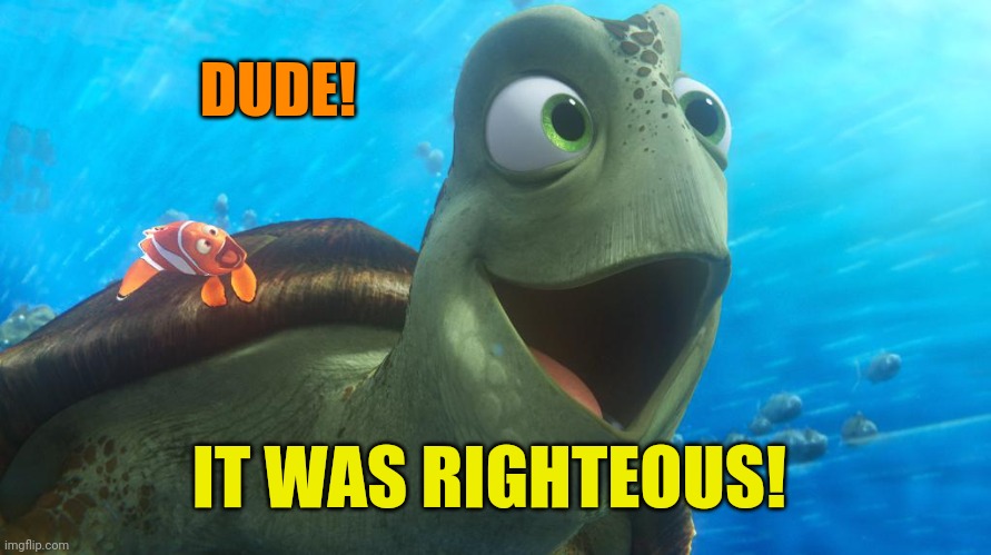 Righteous turtle | DUDE! IT WAS RIGHTEOUS! | image tagged in righteous turtle | made w/ Imgflip meme maker