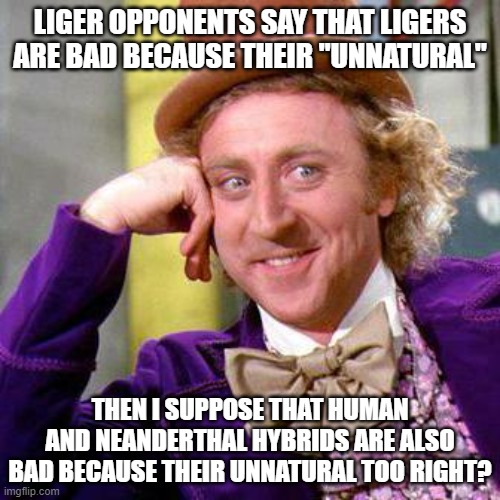 Species within the same genus are able to breed. Humans did it with Neanderthals so there is nothing wrong with Ligers: | LIGER OPPONENTS SAY THAT LIGERS ARE BAD BECAUSE THEIR "UNNATURAL"; THEN I SUPPOSE THAT HUMAN AND NEANDERTHAL HYBRIDS ARE ALSO BAD BECAUSE THEIR UNNATURAL TOO RIGHT? | image tagged in willy wonka blank,science,biology | made w/ Imgflip meme maker