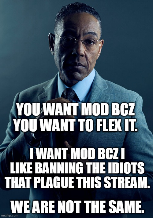Gus Fring we are not the same | YOU WANT MOD BCZ YOU WANT TO FLEX IT. I WANT MOD BCZ I LIKE BANNING THE IDIOTS THAT PLAGUE THIS STREAM. WE ARE NOT THE SAME. | image tagged in gus fring we are not the same | made w/ Imgflip meme maker