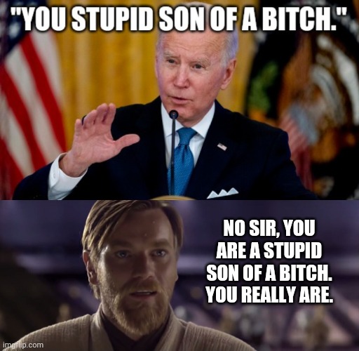 A real dumb sob. | NO SIR, YOU ARE A STUPID SON OF A BITCH. YOU REALLY ARE. | image tagged in memes | made w/ Imgflip meme maker