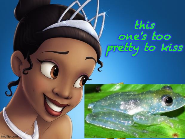 Because, really, do we need more princes? |  this one's too pretty to kiss | image tagged in disney princess frog,frog,cute,disney,princess | made w/ Imgflip meme maker