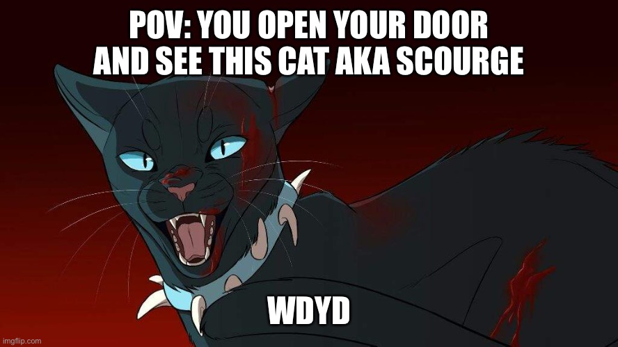 Am bored | POV: YOU OPEN YOUR DOOR AND SEE THIS CAT AKA SCOURGE; WDYD | made w/ Imgflip meme maker