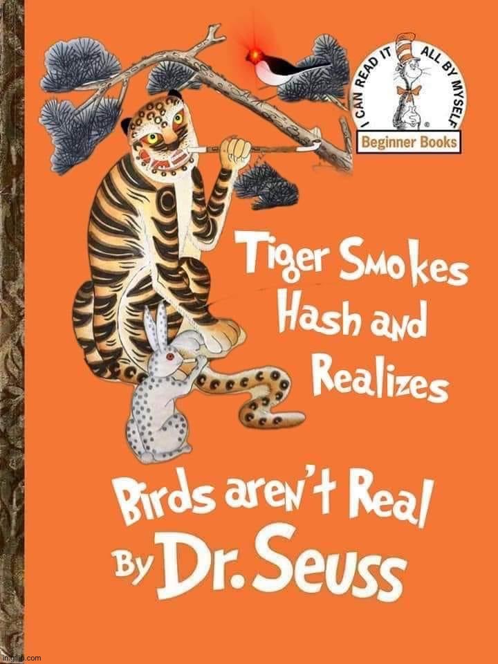 Tiger smokes hash and realizes birds aren’t real | image tagged in tiger smokes hash and realizes birds aren t real | made w/ Imgflip meme maker