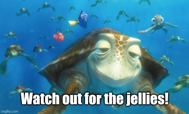 Righteous weekend | Watch out for the jellies! | image tagged in righteous weekend | made w/ Imgflip meme maker