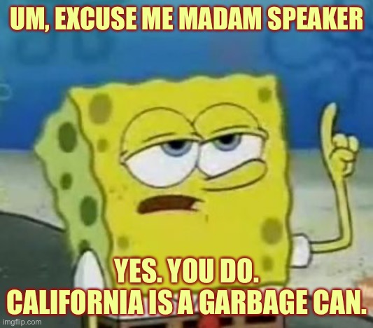 I'll Have You Know Spongebob Meme | UM, EXCUSE ME MADAM SPEAKER YES. YOU DO. CALIFORNIA IS A GARBAGE CAN. | image tagged in memes,i'll have you know spongebob | made w/ Imgflip meme maker