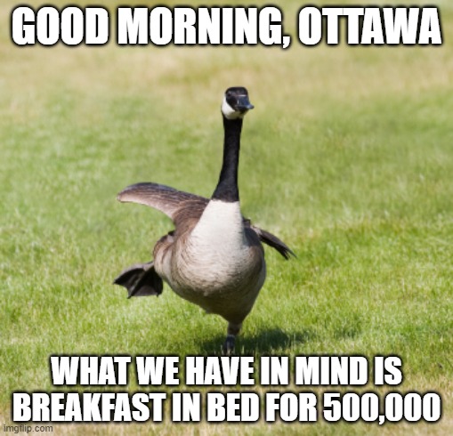 Truckerstock in Ottawa 2022 | GOOD MORNING, OTTAWA; WHAT WE HAVE IN MIND IS BREAKFAST IN BED FOR 500,000 | image tagged in canada goose | made w/ Imgflip meme maker