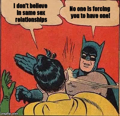 Batman knocking sense into Robin | I don't believe in same sex relationships No one is forcing you to have one! | image tagged in gay,lesbian,love,normal,attraction,human rights | made w/ Imgflip meme maker