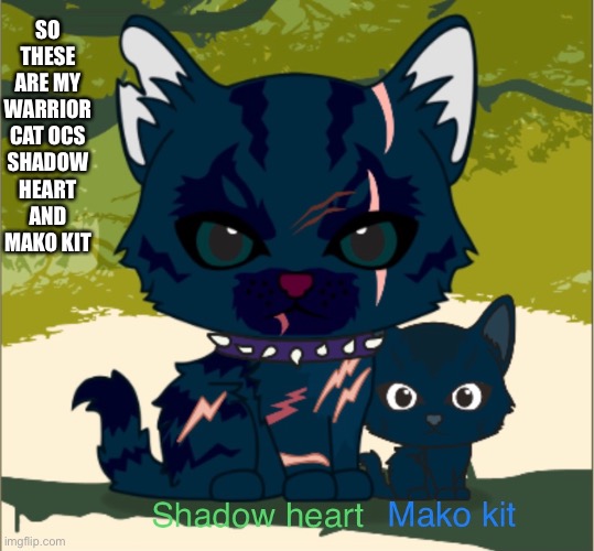SO THESE ARE MY WARRIOR CAT OCS SHADOW HEART AND MAKO KIT | made w/ Imgflip meme maker