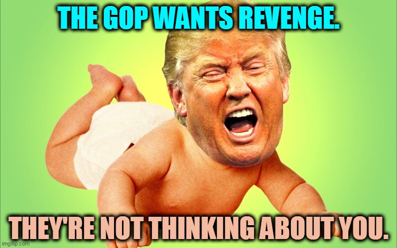 You don't matter. Trump's dented ego does. | THE GOP WANTS REVENGE. THEY'RE NOT THINKING ABOUT YOU. | image tagged in baby trump,hurt feelings,republican,revenge | made w/ Imgflip meme maker