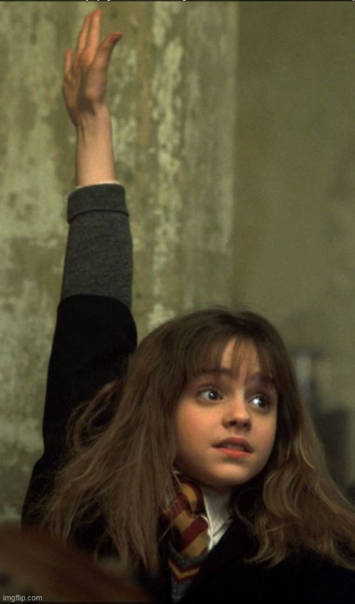 Hermione Granger | image tagged in hermione granger | made w/ Imgflip meme maker