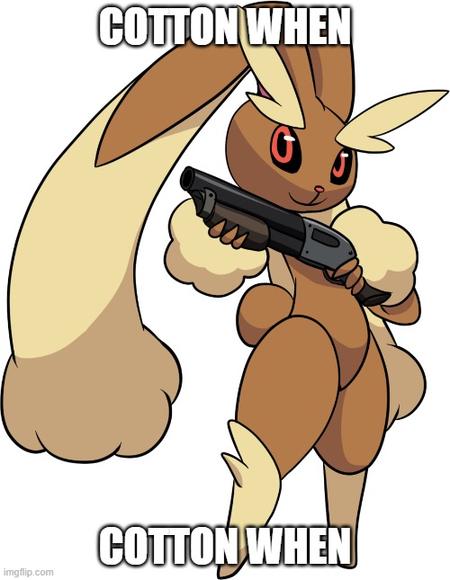 Cotton when | COTTON WHEN; COTTON WHEN | image tagged in lopunny with a shotgun | made w/ Imgflip meme maker