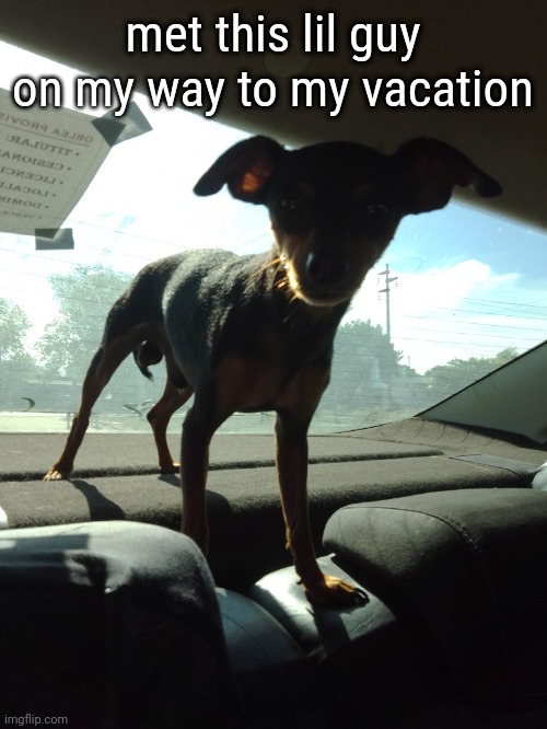 met this lil guy on my way to my vacation | made w/ Imgflip meme maker