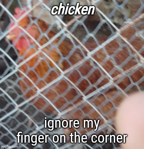 chicken; ignore my finger on the corner | made w/ Imgflip meme maker