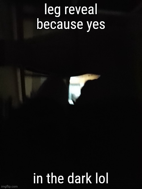 leg reveal because yes; in the dark lol | made w/ Imgflip meme maker