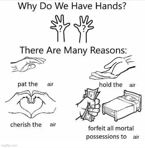 Why do we have hands? (all blank) | air; air; air; air | image tagged in why do we have hands all blank | made w/ Imgflip meme maker