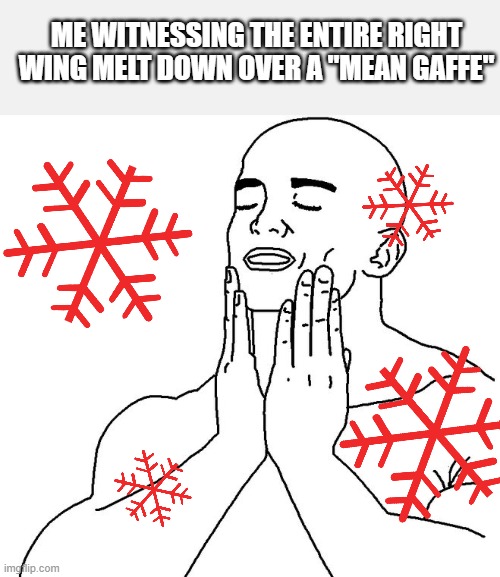Red Snowflakes | ME WITNESSING THE ENTIRE RIGHT WING MELT DOWN OVER A "MEAN GAFFE" | image tagged in feelsgood,maga,trump,biden,gaffe,snowflake | made w/ Imgflip meme maker