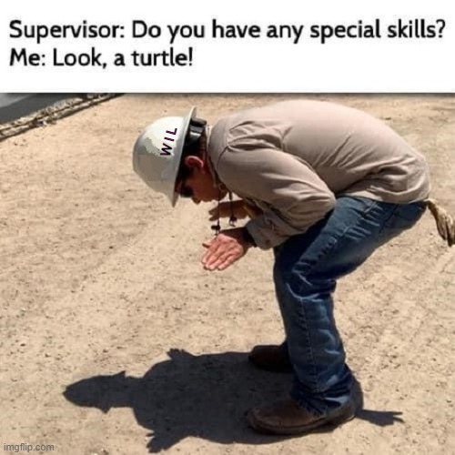 I'm_A_Turtle | W I L | image tagged in turtle,supervisor,talents,strengths | made w/ Imgflip meme maker