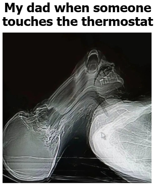 My dad when someone touches the thermostat | image tagged in plastic | made w/ Imgflip meme maker