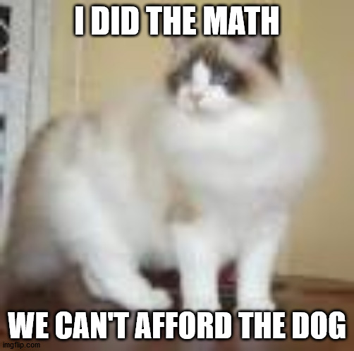 I DID THE MATH; WE CAN'T AFFORD THE DOG | image tagged in cats are awesome | made w/ Imgflip meme maker