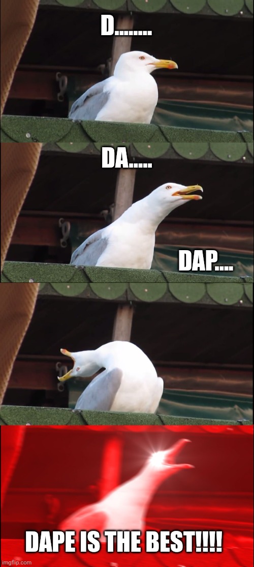 Dape meme 3 | D........ DA..... DAP.... DAPE IS THE BEST!!!! | image tagged in memes,inhaling seagull | made w/ Imgflip meme maker