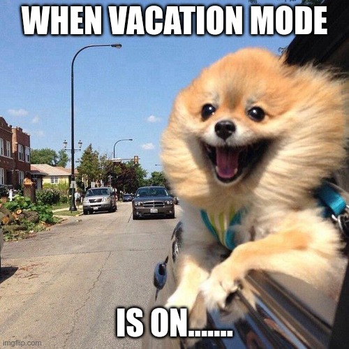 Traveling dog | WHEN VACATION MODE; IS ON....... | image tagged in traveling dog,fun memes,vacation | made w/ Imgflip meme maker