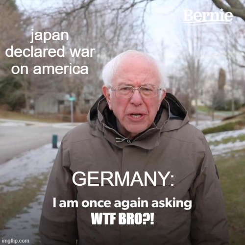Bernie I Am Once Again Asking For Your Support |  japan declared war on america; GERMANY:; WTF BRO?! | image tagged in memes,bernie i am once again asking for your support | made w/ Imgflip meme maker
