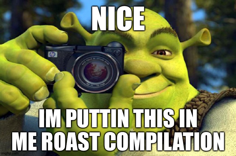 Shrek taking a picture | NICE IM PUTTIN THIS IN ME ROAST COMPILATION | image tagged in shrek taking a picture | made w/ Imgflip meme maker