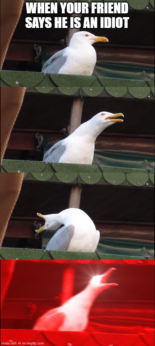 Inhaling Seagull | WHEN YOUR FRIEND SAYS HE IS AN IDIOT | image tagged in memes,inhaling seagull | made w/ Imgflip meme maker