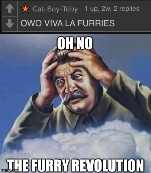 IVAN GET THE T-34 | OH NO; THE FURRY REVOLUTION | image tagged in worrying stalin | made w/ Imgflip meme maker