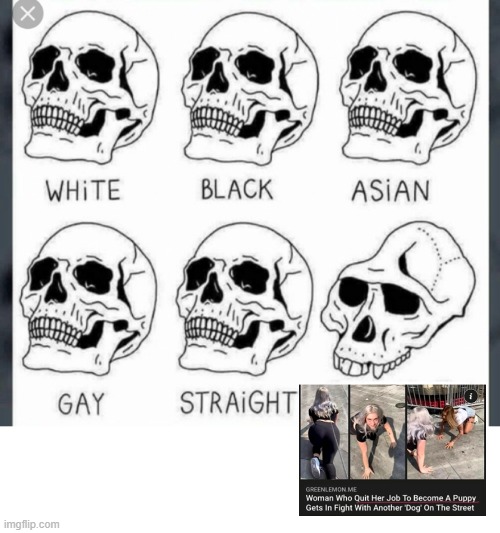 What have become of this world? | image tagged in white black asian gay straight skull template | made w/ Imgflip meme maker