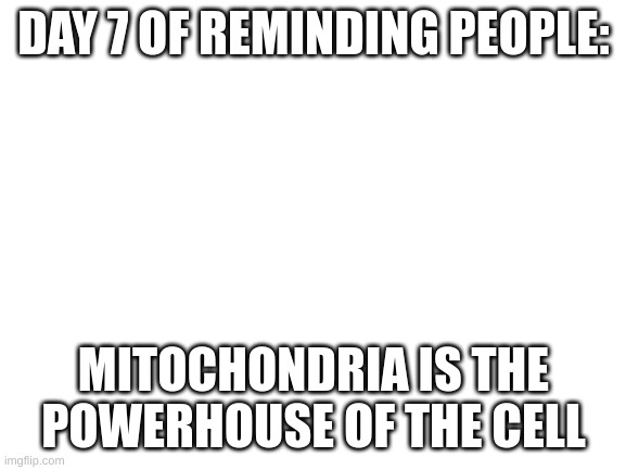 day 7 | DAY 7 OF REMINDING PEOPLE:; MITOCHONDRIA IS THE POWERHOUSE OF THE CELL | image tagged in blank white template | made w/ Imgflip meme maker