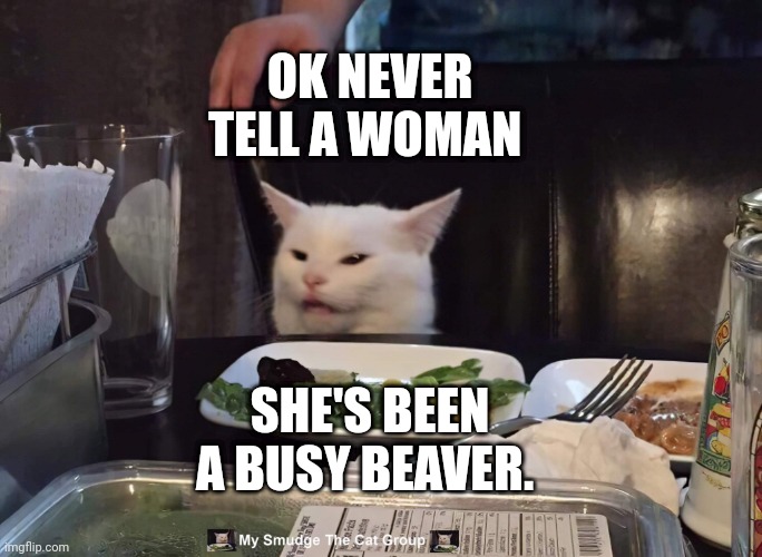 OK NEVER TELL A WOMAN; SHE'S BEEN A BUSY BEAVER. | image tagged in smudge the cat | made w/ Imgflip meme maker