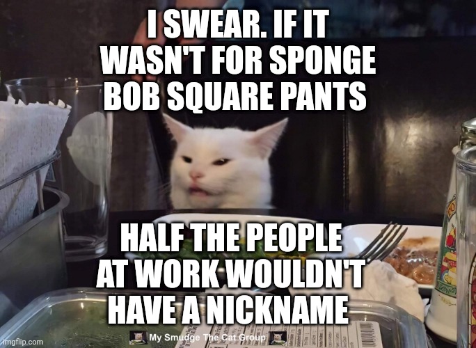  I SWEAR. IF IT WASN'T FOR SPONGE BOB SQUARE PANTS; HALF THE PEOPLE AT WORK WOULDN'T HAVE A NICKNAME | image tagged in smudge the cat | made w/ Imgflip meme maker