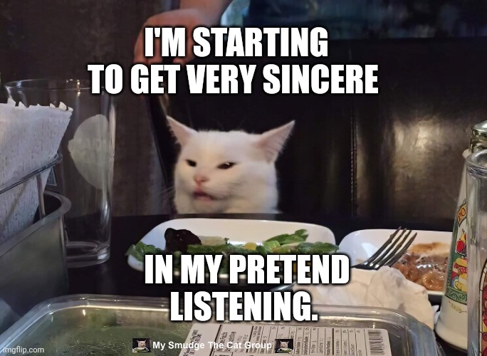 I'M STARTING TO GET VERY SINCERE; IN MY PRETEND LISTENING. | image tagged in smudge the cat | made w/ Imgflip meme maker