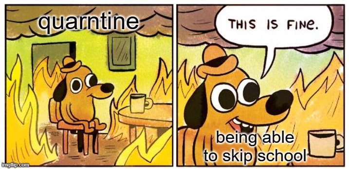 This Is Fine | quarntine; being able to skip school | image tagged in memes,this is fine | made w/ Imgflip meme maker
