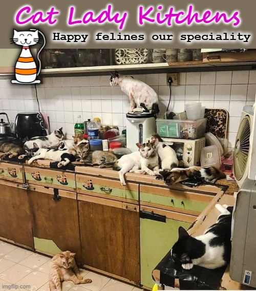 Attention Cat Ladies | Cat Lady Kitchens; Happy felines our speciality | image tagged in kitchen nightmares | made w/ Imgflip meme maker