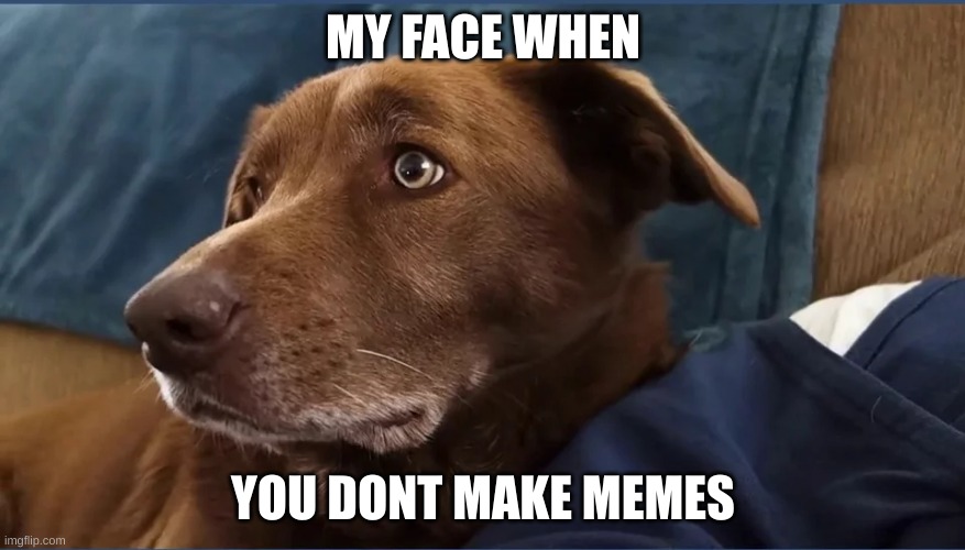 memes top notch | MY FACE WHEN; YOU DONT MAKE MEMES | image tagged in doggo sad | made w/ Imgflip meme maker