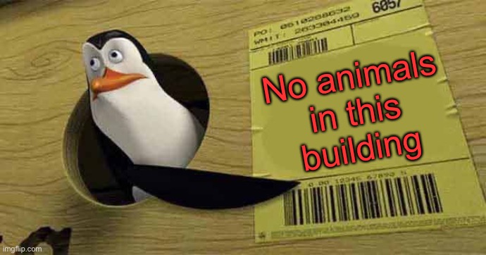 Penguin pointing at sign | No animals in this building | image tagged in penguin pointing at sign | made w/ Imgflip meme maker