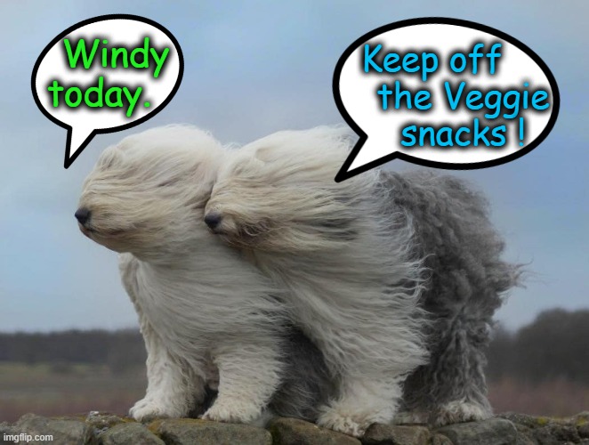 Trapped Wind ! | Windy
today. Keep off      
the Veggie
 snacks ! | image tagged in blowing | made w/ Imgflip meme maker