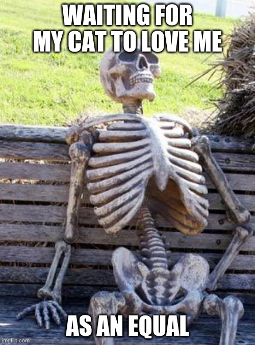 Waiting Skeleton | WAITING FOR MY CAT TO LOVE ME; AS AN EQUAL | image tagged in memes,waiting skeleton | made w/ Imgflip meme maker