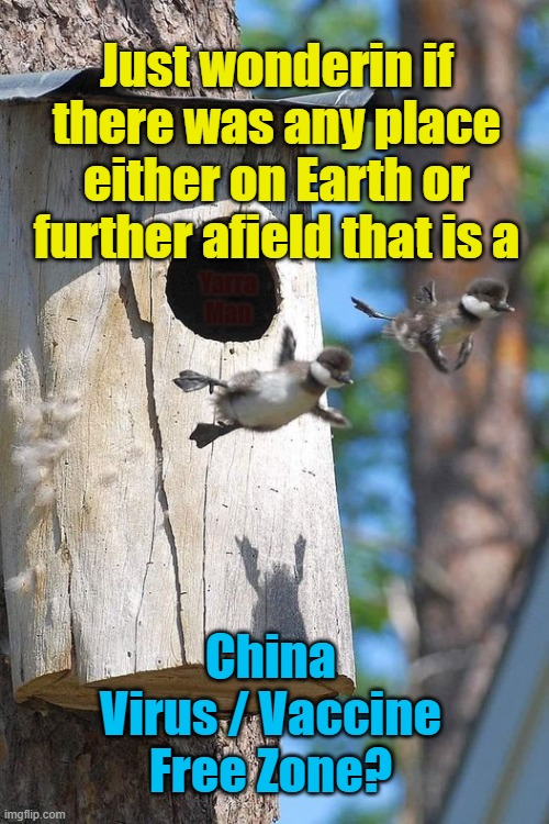 Covid Free Zone | Just wonderin if there was any place either on Earth or further afield that is a; Yarra Man; China Virus / Vaccine Free Zone? | image tagged in china virus free zone,germ warfare | made w/ Imgflip meme maker