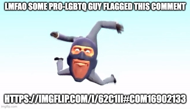 snowflake | LMFAO SOME PRO-LGBTQ GUY FLAGGED THIS COMMENT; HTTPS://IMGFLIP.COM/I/62C1II#COM16902133 | image tagged in the s p y | made w/ Imgflip meme maker
