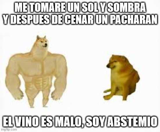 Meme perro 2020 | ME TOMARE UN SOL Y SOMBRA Y DESPUES DE CENAR UN PACHARAN; EL VINO ES MALO, SOY ABSTEMIO | image tagged in meme perro 2020 | made w/ Imgflip meme maker