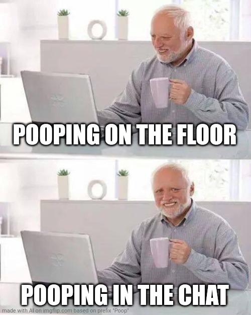 Popping in the chat | POOPING ON THE FLOOR; POOPING IN THE CHAT | image tagged in memes,hide the pain harold | made w/ Imgflip meme maker