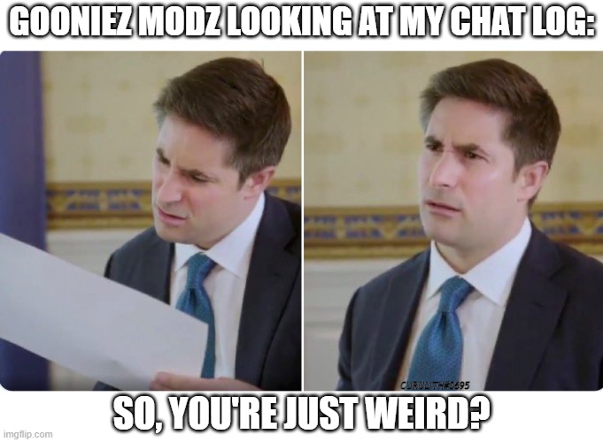 Jonathan Swan | GOONIEZ MODZ LOOKING AT MY CHAT LOG:; CURULITH#0695; SO, YOU'RE JUST WEIRD? | image tagged in jonathan swan | made w/ Imgflip meme maker