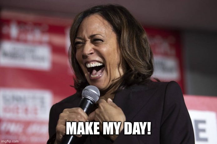 Kamala laughing | MAKE MY DAY! | image tagged in kamala laughing | made w/ Imgflip meme maker