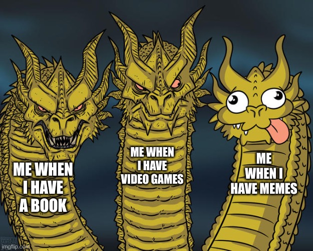 Three-headed Dragon | ME WHEN I HAVE VIDEO GAMES; ME WHEN I HAVE MEMES; ME WHEN I HAVE A BOOK | image tagged in three-headed dragon | made w/ Imgflip meme maker