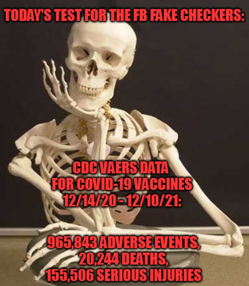 VAERS data | TODAY'S TEST FOR THE FB FAKE CHECKERS:; CDC VAERS DATA 
FOR COVID-19 VACCINES
12/14/20 - 12/10/21:; 965,843 ADVERSE EVENTS,
20,244 DEATHS,
155,506 SERIOUS INJURIES | image tagged in skull | made w/ Imgflip meme maker